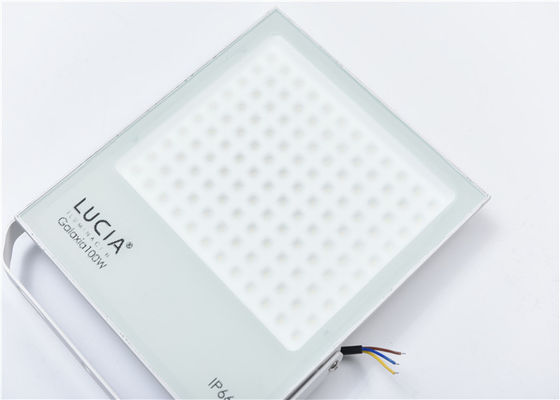 Άσπρο 100w 130lm/W 120 οδηγημένοι βολτ υπαίθριοι προβολείς